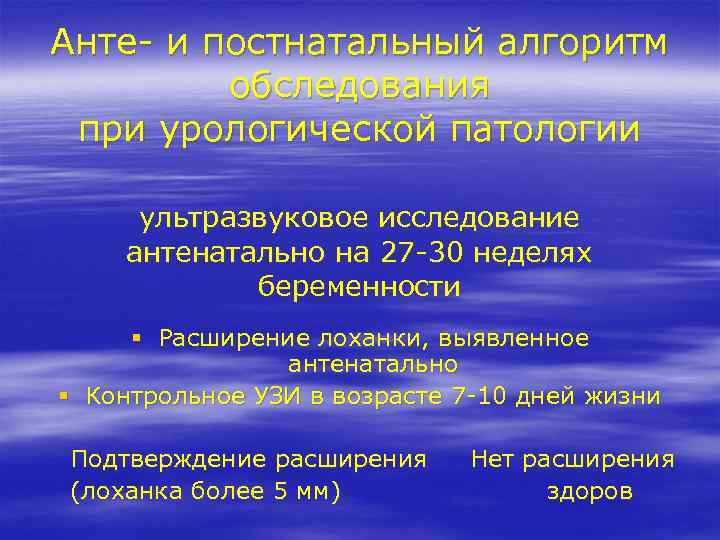 Анте- и постнатальный алгоритм обследования при урологической патологии ультразвуковое исследование антенатально на 27 -30