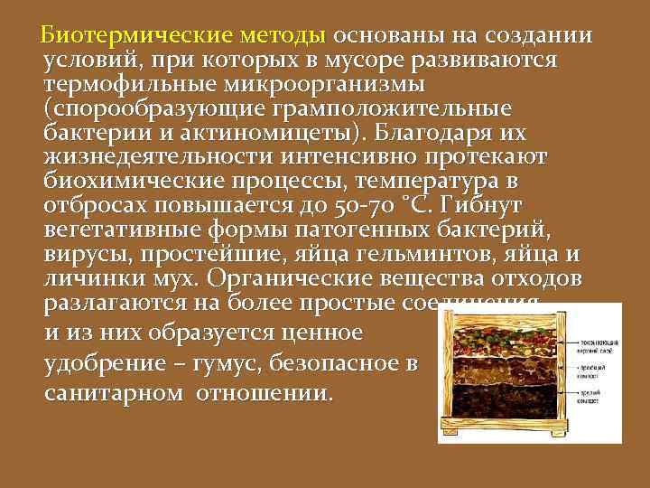 Биотермические методы основаны на создании условий, при которых в мусоре развиваются термофильные микроорганизмы (спорообразующие