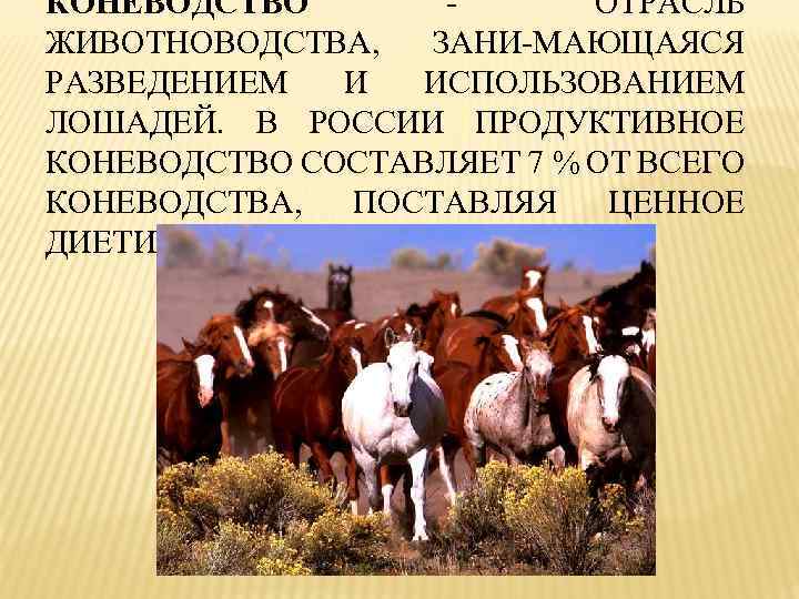 В каких отраслях животноводства применяются компьютерная техника