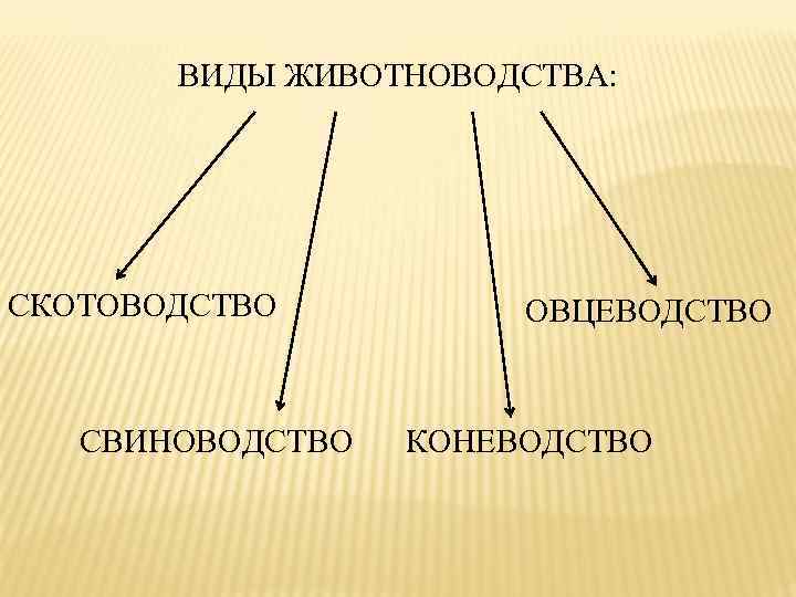 ВИДЫ ЖИВОТНОВОДСТВА: СКОТОВОДСТВО СВИНОВОДСТВО ОВЦЕВОДСТВО КОНЕВОДСТВО 