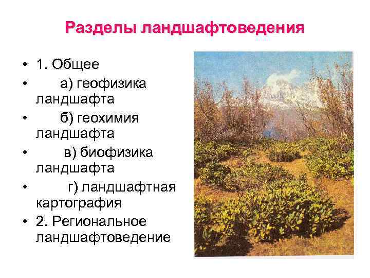 Разделы ландшафтоведения • 1. Общее • а) геофизика ландшафта • б) геохимия ландшафта •