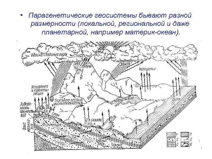 Схема соподчиненности элементов морфологической структуры ландшафта