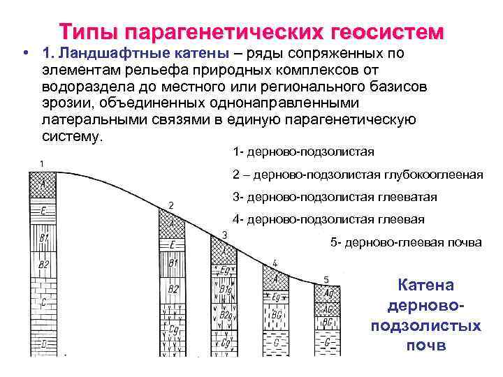 Практическая работа классификация ландшафтов