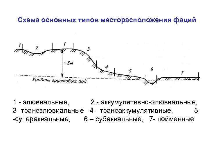 Аккумулятивный берег схема