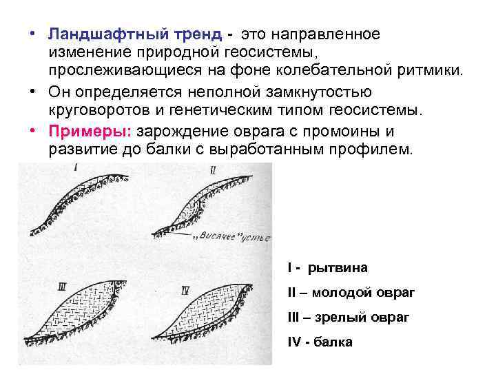  • Ландшафтный тренд - это направленное изменение природной геосистемы, прослеживающиеся на фоне колебательной