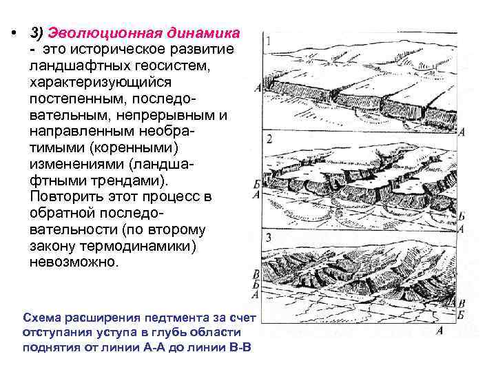 Динамика ландшафта. Эволюционная динамика ландшафта. Стадии формирования ландшафта. Динамика развития геосистем. Динамика развития ландшафта.