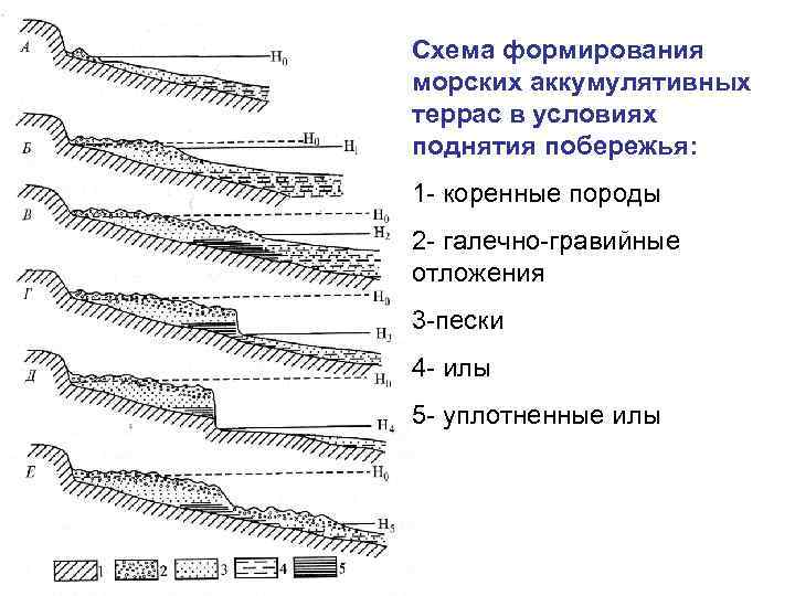 Аккумулятивный берег схема