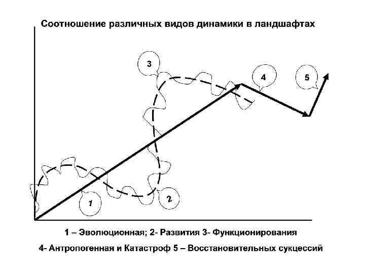 Динамика ландшафта