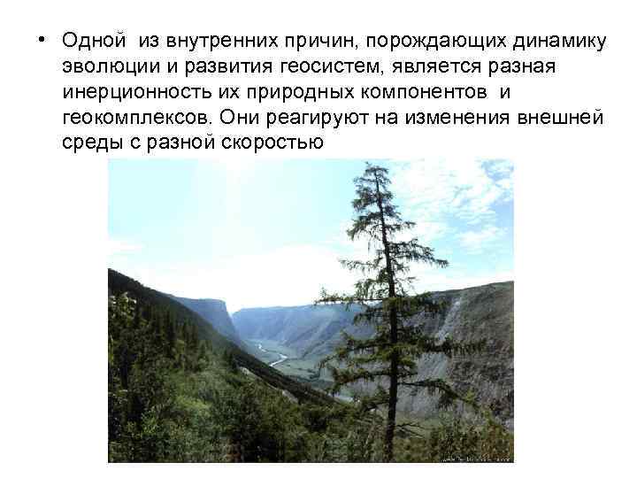  • Одной из внутренних причин, порождающих динамику эволюции и развития геосистем, является разная