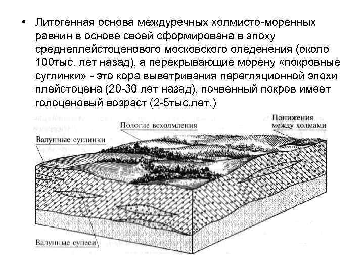  • Литогенная основа междуречных холмисто-моренных равнин в основе своей сформирована в эпоху среднеплейстоценового