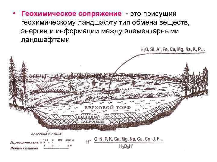 Словесное описание ландшафта. Геохимический ландшафт схема. Элементарный геохимический ландшафт. Геохимическая классификация ландшафтов. Геохимические сопряжение это.