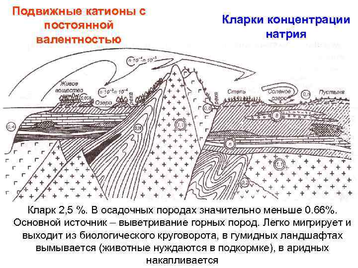 Геохимический ландшафт. Элементарный геохимический ландшафт. Геохимическая формула ландшафта. Типы геохимических ландшафтов. Геохимическая классификация ландшафтов.