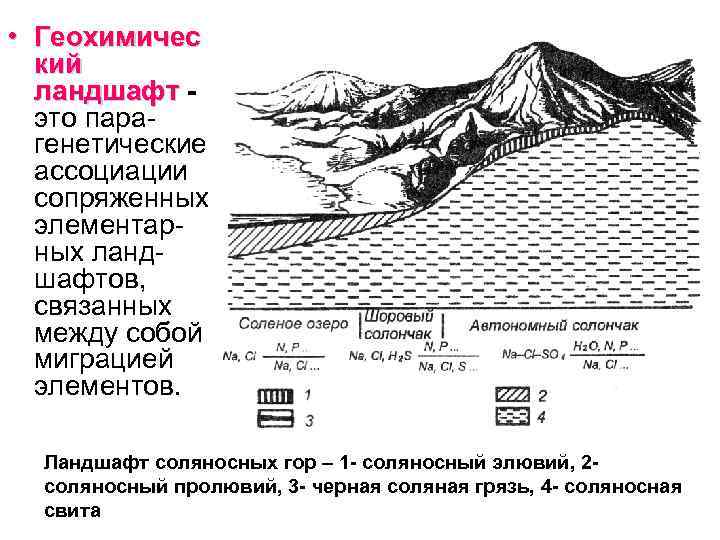 Геохимический ландшафт