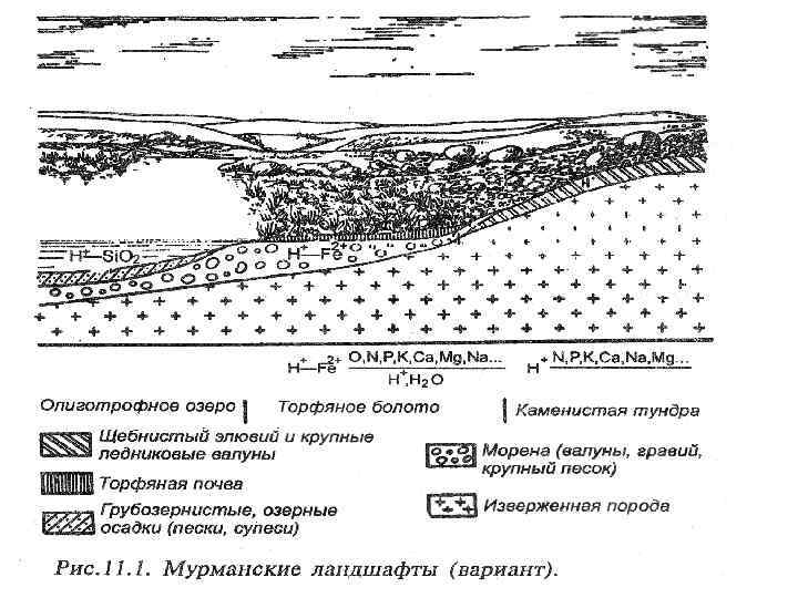 Геохимический ландшафт