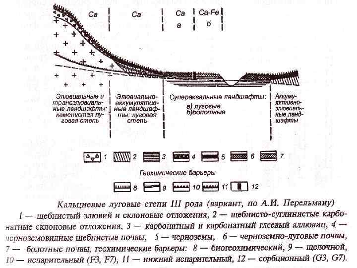 Геохимический ландшафт. Геохимия ландшафта классификация. Геохимический ландшафт схема. Схема основных типов элементарных ландшафтов. Геохимическая классификация ландшафтов.