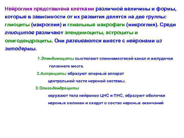 Нейроглия представлена клетками различной величины и формы, которые в зависимости от их развития делятся