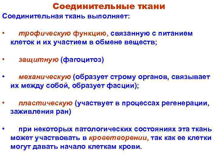 Соединительные ткани Соединительная ткань выполняет: • • трофическую функцию, связанную с питанием клеток и
