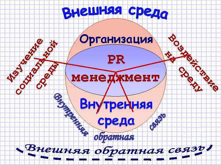 свя зь обратная я я ня ня рен ут ут Вн Вн Внутренняя среда