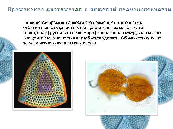 Экология диатомитовых водорослей Применение диатомитов в пищевой промышленности В пищевой промышленности его применяют для
