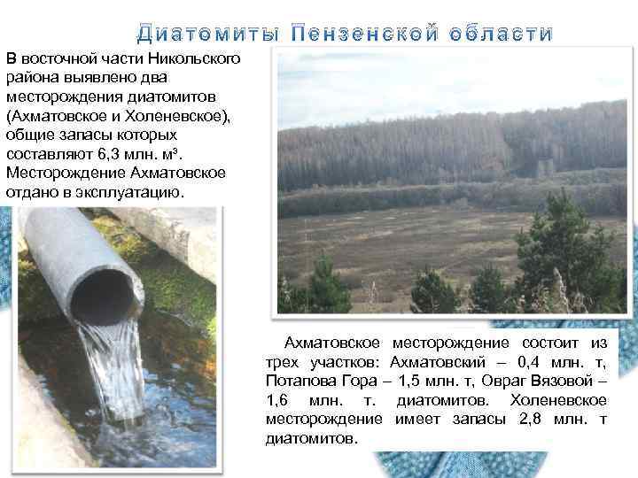 Диатомиты Пензенской области В восточной части Никольского района выявлено два месторождения диатомитов (Ахматовское и
