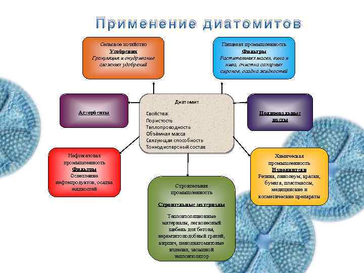 Диатомит как принимать внутрь схема