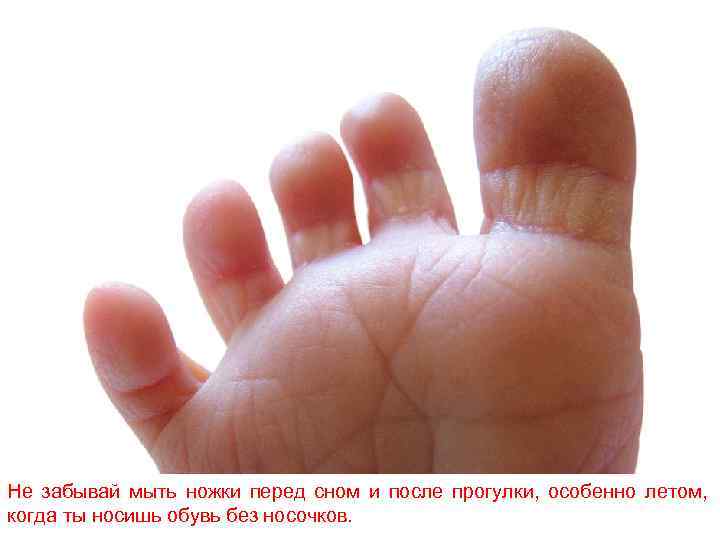 Не забывай мыть ножки перед сном и после прогулки, особенно летом, когда ты носишь