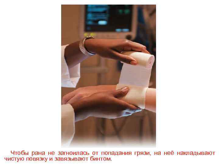 Чтобы рана не загноилась от попадания грязи, на неё накладывают чистую повязку и завязывают