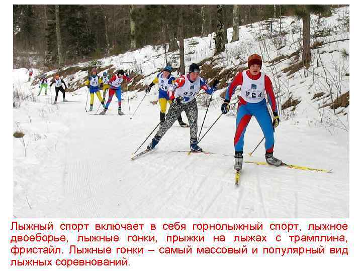 Лыжный спорт включает в себя горнолыжный спорт, лыжное двоеборье, лыжные гонки, прыжки на лыжах