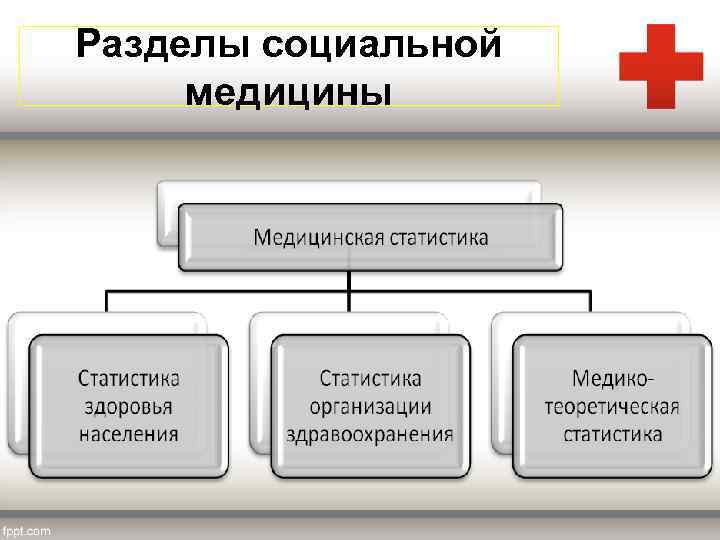 Разделы социальной медицины 