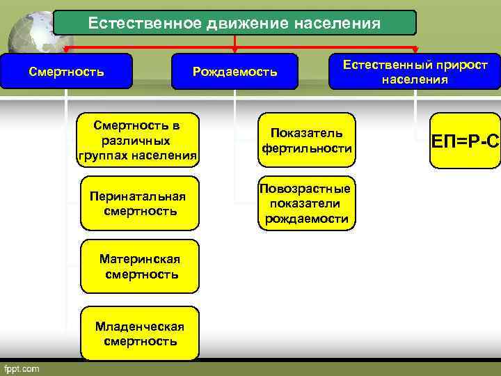 Естественное движение населения Смертность Рождаемость Естественный прирост населения Смертность в различных группах населения Показатель