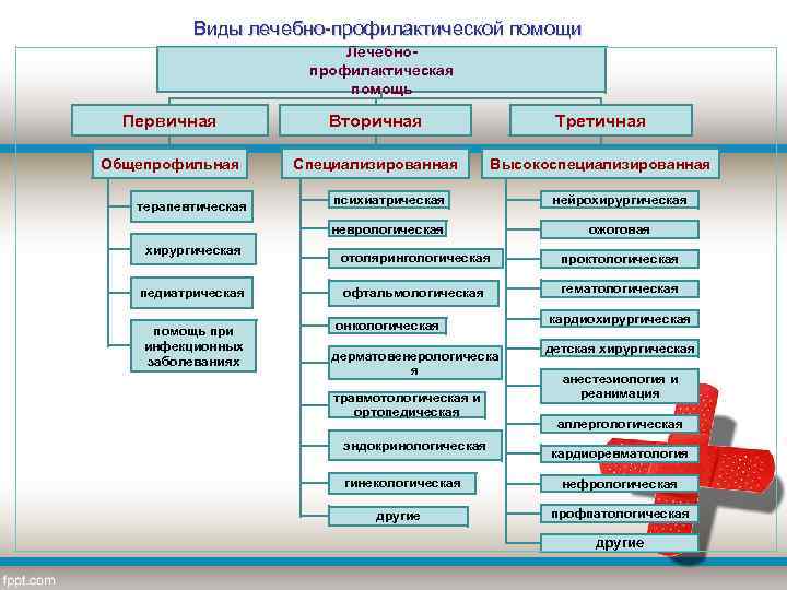 Виды лечебно-профилактической помощи Лечебнопрофилактическая помощь Первичная Вторичная Третичная Общепрофильная Специализированная Высокоспециализированная хирургическая педиатрическая помощь