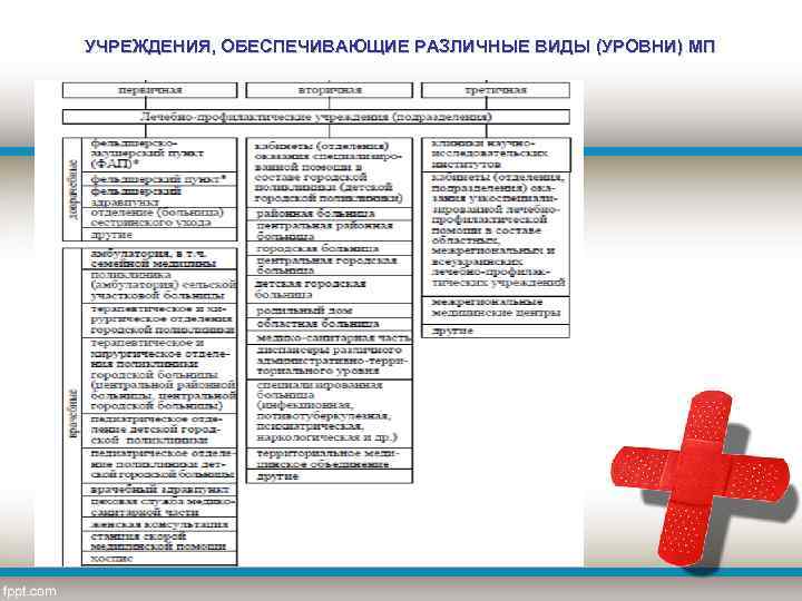УЧРЕЖДЕНИЯ, ОБЕСПЕЧИВАЮЩИЕ РАЗЛИЧНЫЕ ВИДЫ (УРОВНИ) МП 