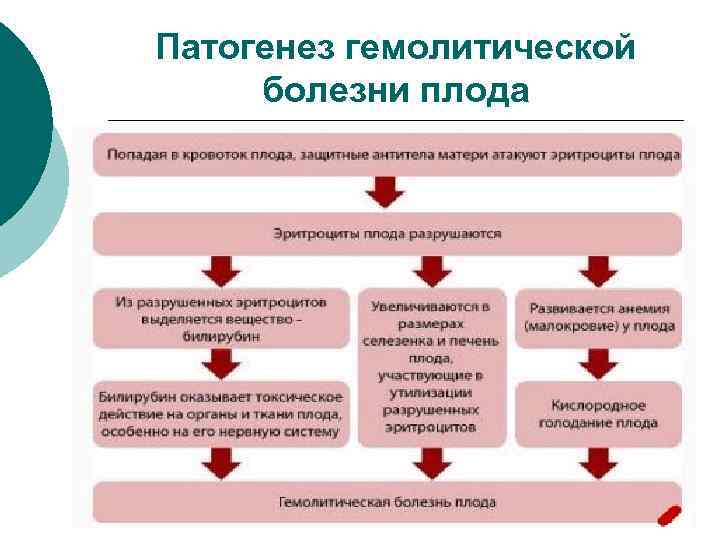 Патогенез гемолитической болезни плода 