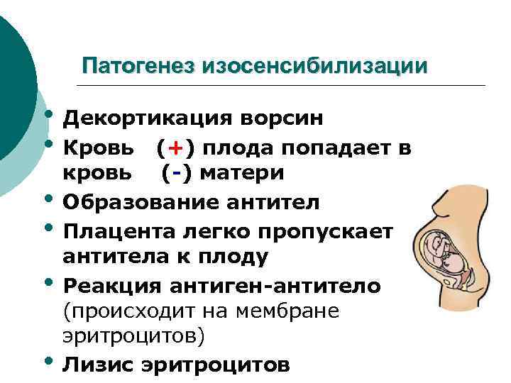 Патогенез изосенсибилизации • Декортикация ворсин • Кровь (+) плода попадает в • • кровь
