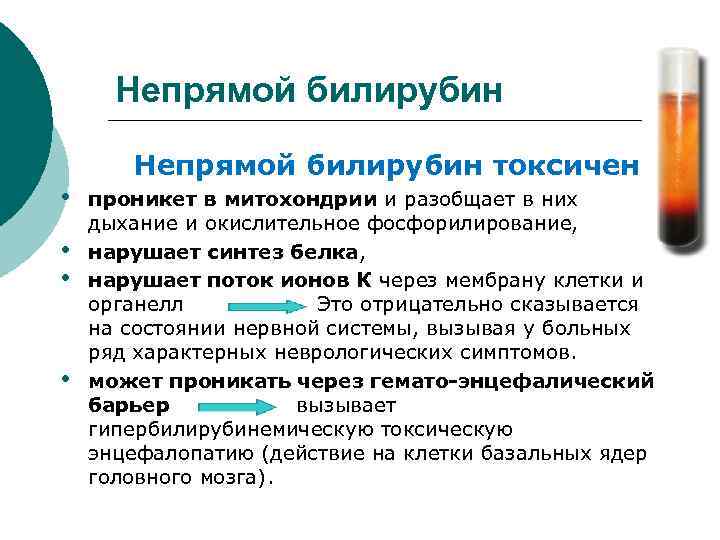 Непрямой билирубин • • Непрямой билирубин токсичен: проникет в митохондрии и разобщает в них