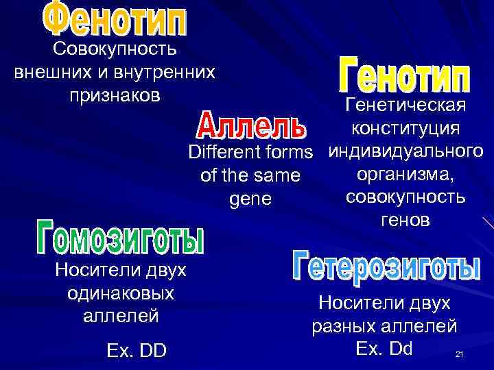 Совокупность внешних и внутренних признаков Генетическая конституция Different forms индивидуального организма, of the same
