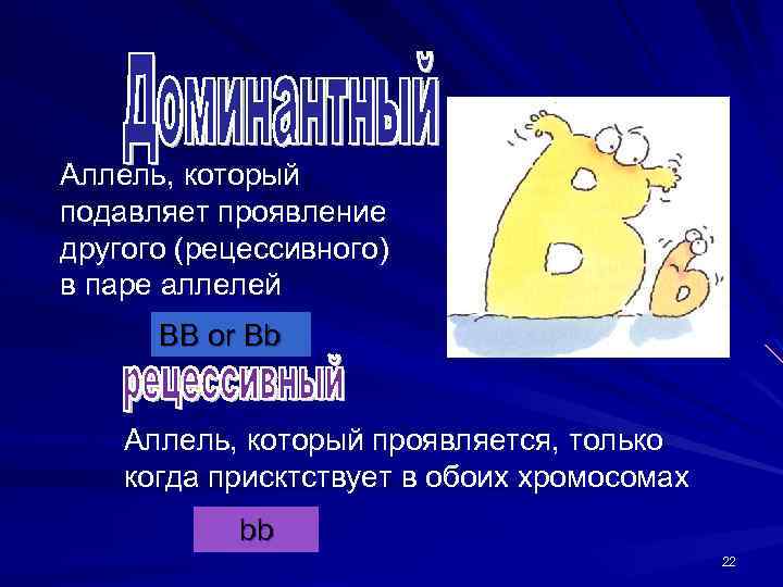 Аллель, который подавляет проявление другого (рецессивного) в паре аллелей BB or Bb Аллель, который