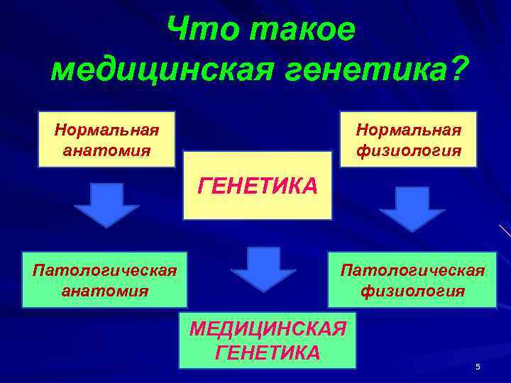 Что такое медицинская генетика? Нормальная анатомия Нормальная физиология ГЕНЕТИКА Патологическая анатомия Патологическая физиология МЕДИЦИНСКАЯ