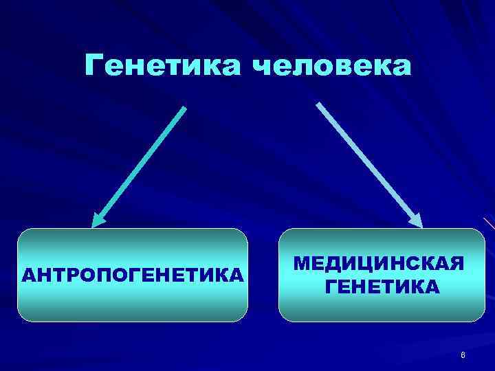 Генетика человека АНТРОПОГЕНЕТИКА МЕДИЦИНСКАЯ ГЕНЕТИКА 6 