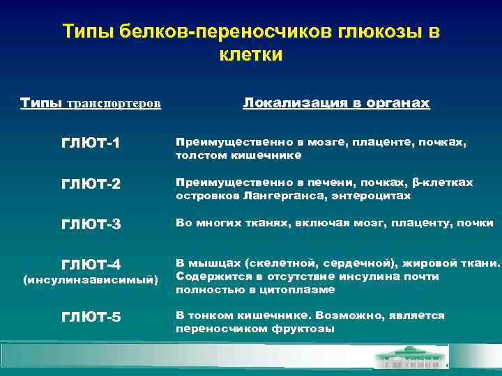 Типы белков-переносчиков глюкозы в клетки Типы транспортеров Локализация в органах ГЛЮТ-1 Преимущественно в мозге,