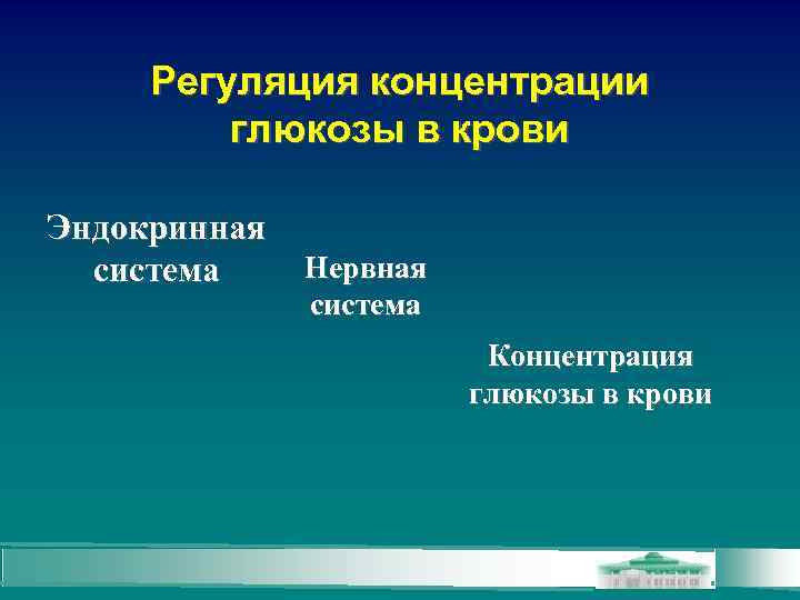 Регуляция концентрации глюкозы в крови Эндокринная Нервная система Концентрация глюкозы в крови 