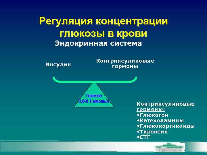 Регуляция концентрации глюкозы в крови Эндокринная система Инсулин Контринсулиновые гормоны: • Глюкагон • Катехоламины