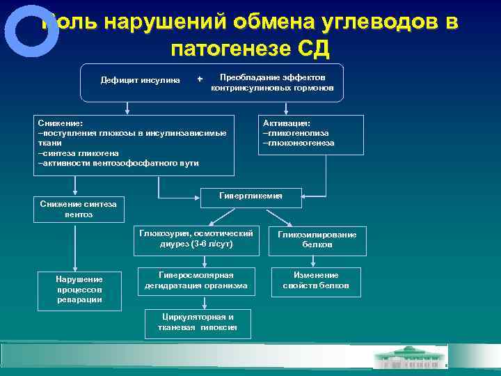 Роль нарушений обмена углеводов в патогенезе СД Дефицит инсулина + Преобладание эффектов контринсулиновых гормонов