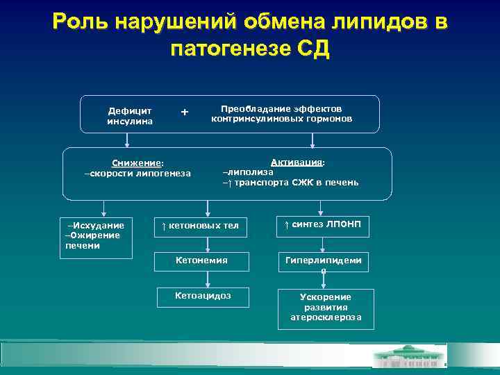 Роль нарушений обмена липидов в патогенезе СД Дефицит инсулина + Снижение: -скорости липогенеза -Исхудание