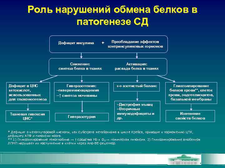Роль нарушений обмена белков в патогенезе СД Дефицит инсулина + Снижение: синтеза белка в