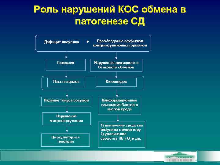 Роль нарушений КОС обмена в патогенезе СД Дефицит инсулина + Преобладание эффектов контринсулиновых гормонов
