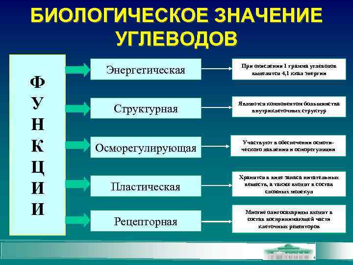 БИОЛОГИЧЕСКОЕ ЗНАЧЕНИЕ УГЛЕВОДОВ Ф У Н К Ц И И Энергетическая При окислении 1