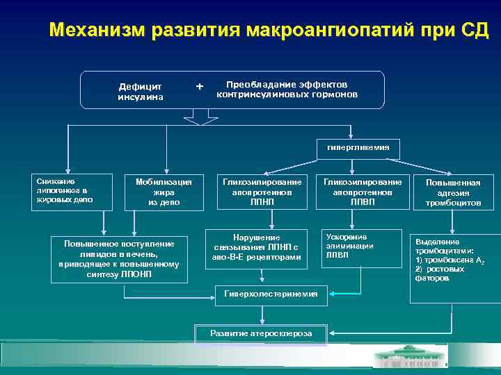 Механизм развития макроангиопатий при СД Дефицит инсулина + Преобладание эффектов контринсулиновых гормонов гипергликемия Снижение