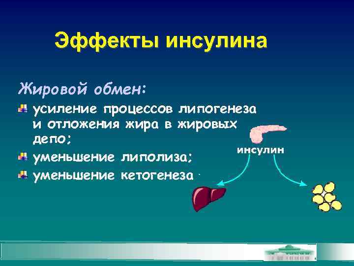 Жировой обмен. Жировой и углеводный обмен. Жировое депо. Жировое депо организма это. Депо жиров в организме.