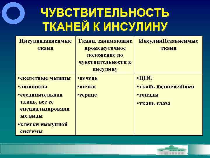 ЧУВСТВИТЕЛЬНОСТЬ ТКАНЕЙ К ИНСУЛИНУ Инсулинзависимые Ткани, занимающие Инсулин. Независимые ткани промежуточное ткани положение по